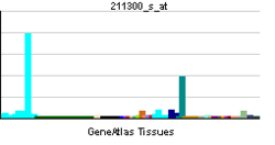 PBB GE TP53 211300 s at.png