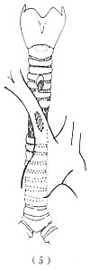 Gxqe56g7.jpg