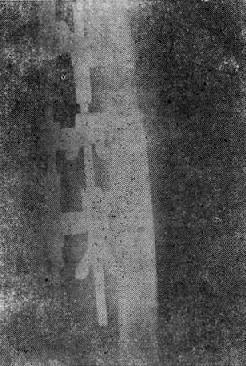 Gl0t6321.jpg
