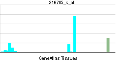 PBB GE ADA 216705 s at tn.png