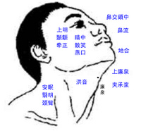 Bkdx2.jpg