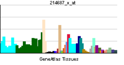 PBB GE ALDOA 214687 x at tn.png