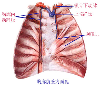 Glmg1zeq.jpg