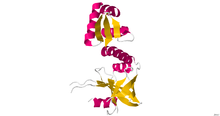 Riboflavkinase.png