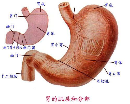 Glnjixao.JPG