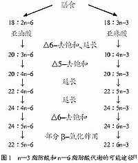 Bka1x.jpg