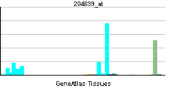 PBB GE ADA 204639 at tn.png