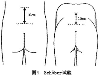Gyr864kk.jpg