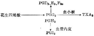 Gpzd2ej3.jpg