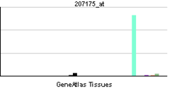 PBB GE ADIPOQ 207175 at tn.png