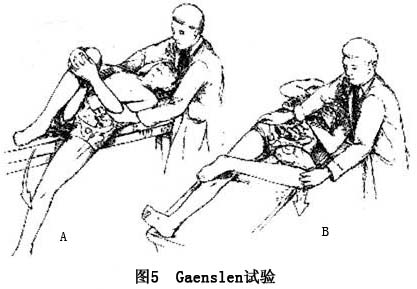 Gyr858c3.jpg