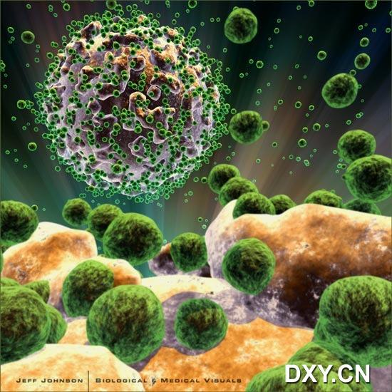 机体的免疫的失活既AIDS