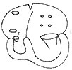 Gxpz8lc9.jpg