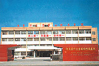 Bkp8p.jpg