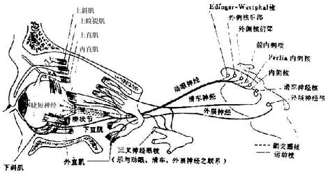 00701.jpg (83706 字节)