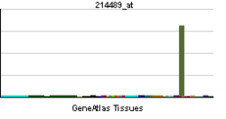 PBB GE FSHB 214489 at tn.png