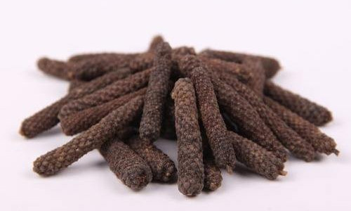 荜茇