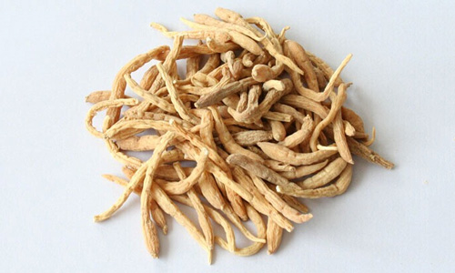 太子参
